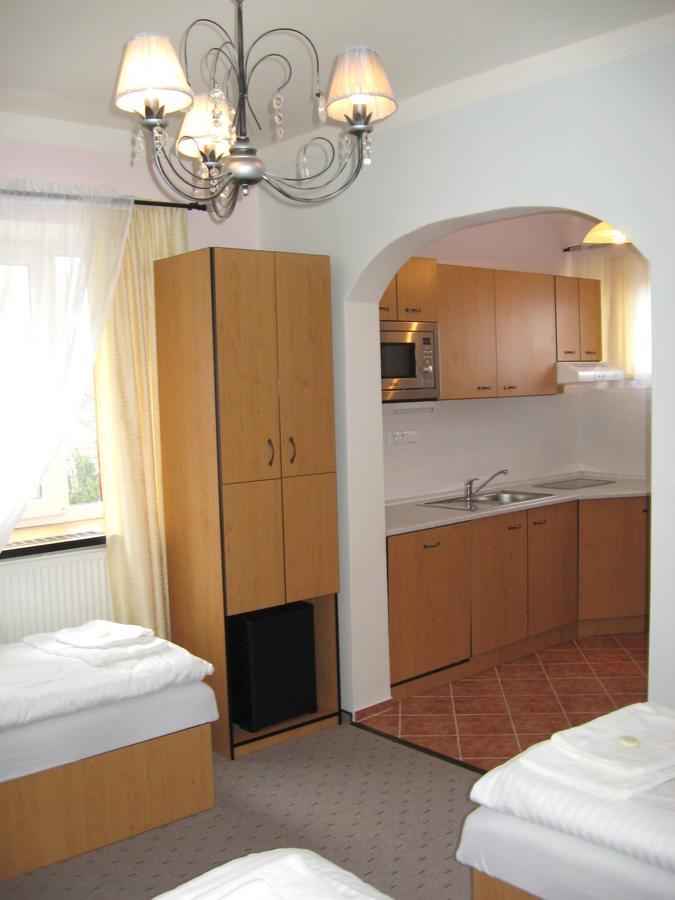 Hotel Manes Svratka Екстер'єр фото