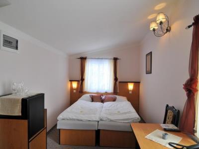 Hotel Manes Svratka Екстер'єр фото