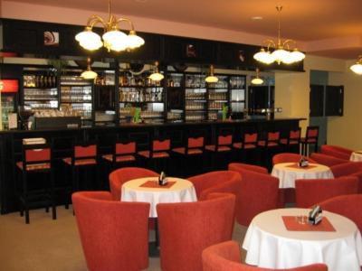 Hotel Manes Svratka Екстер'єр фото